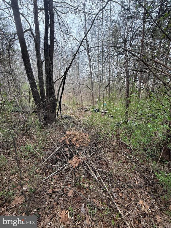 5300 HAMS FORD RD, WOODFORD, Virginia 22580, ,Land,5300 HAMS FORD RD,VASP2040548 MLS # VASP2040548 5300 HAMS FORD RD, WOODFORD, Virginia 22580, ,Land,5300 HAMS FORD RD,VASP2040548 MLS # VASP2040548