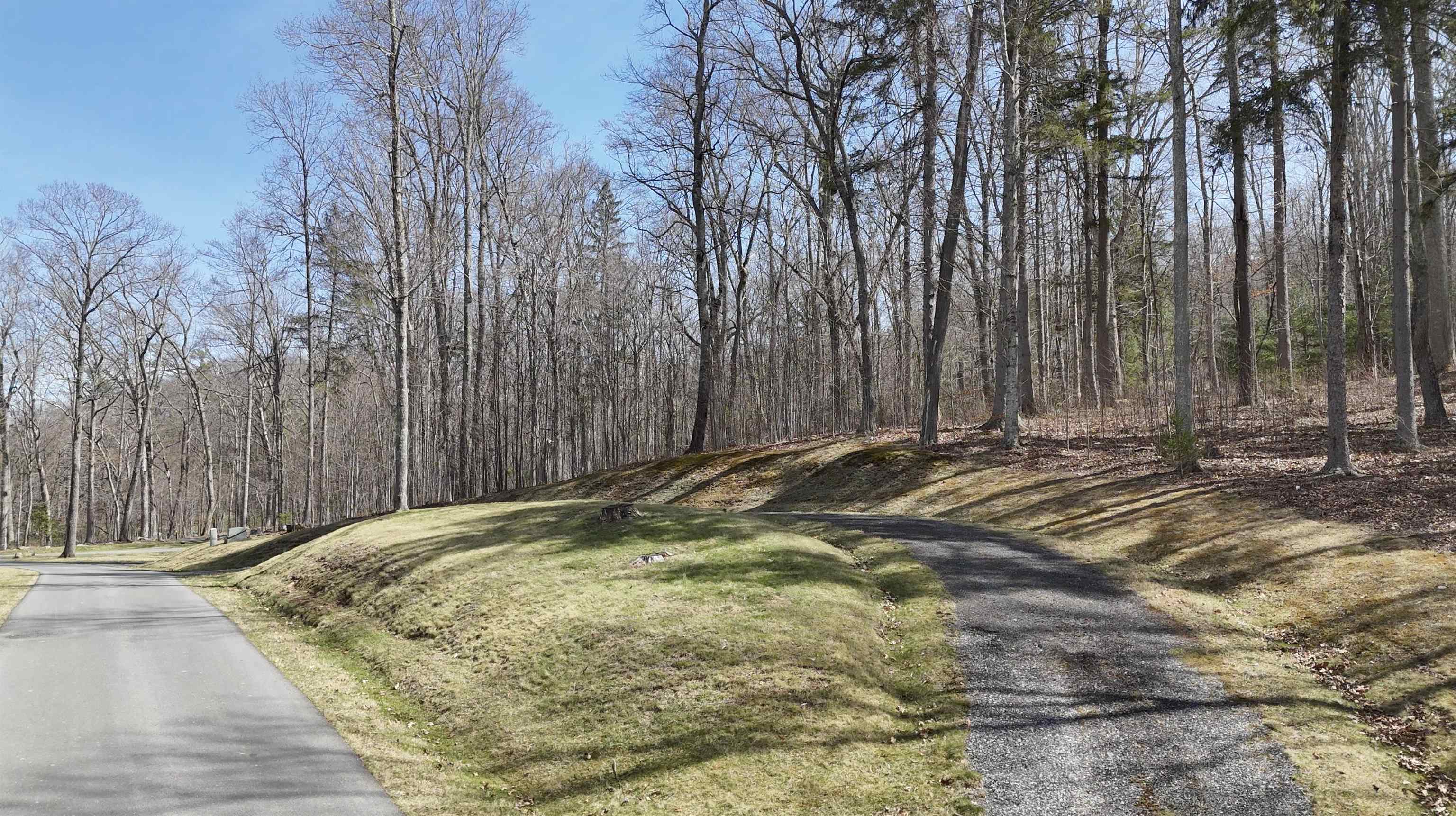 61 & 62 OLD COURSE TRAIL, HOT SPRINGS, Virginia 24445, ,Land,Homestead Preserve Sheep Meadow lot 61 and 62,61 & 62 OLD COURSE TRAIL,675494 MLS # 675494 61 & 62 OLD COURSE TRAIL, HOT SPRINGS, Virginia 24445, ,Land,Homestead Preserve Sheep Meadow lot 61 and 62,61 & 62 OLD COURSE TRAIL,675494 MLS # 675494