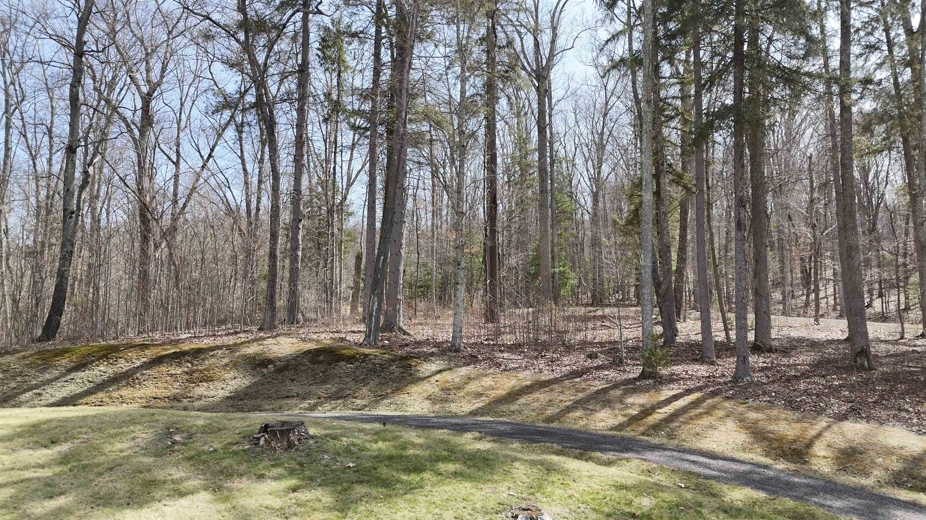 61 & 62 OLD COURSE TRAIL, HOT SPRINGS, Virginia 24445, ,Land,Homestead Preserve Sheep Meadow lot 61 and 62,61 & 62 OLD COURSE TRAIL,675494 MLS # 675494 61 & 62 OLD COURSE TRAIL, HOT SPRINGS, Virginia 24445, ,Land,Homestead Preserve Sheep Meadow lot 61 and 62,61 & 62 OLD COURSE TRAIL,675494 MLS # 675494