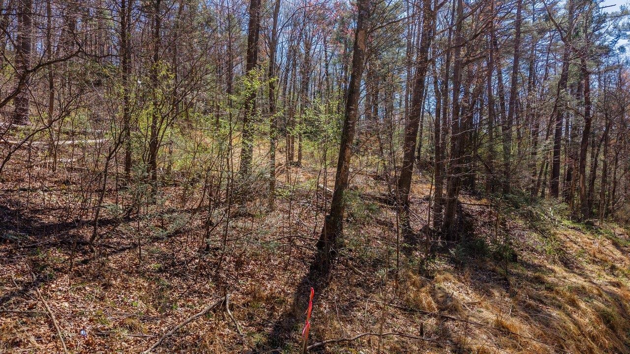 TBD SHELL HOLLOW LN, DAYTON, Virginia 22821, ,Land,TBD SHELL HOLLOW LN,675500 MLS # 675500