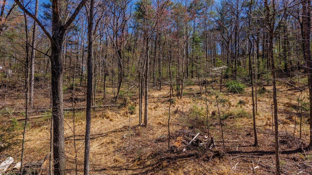 TBD SHELL HOLLOW LN, DAYTON, Virginia 22821, ,Land,TBD SHELL HOLLOW LN,675500 MLS # 675500