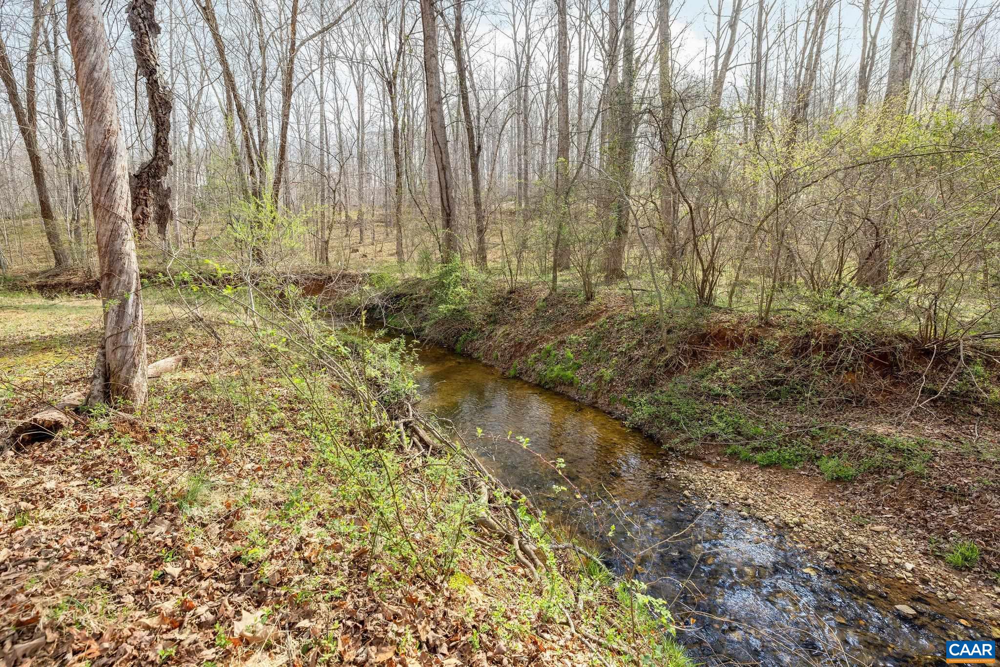 462 FOX HUNTERS LN, MADISON, Virginia 22727, 4 Bedrooms Bedrooms, ,3 BathroomsBathrooms,Residential,462 FOX HUNTERS LN,675281 MLS # 675281