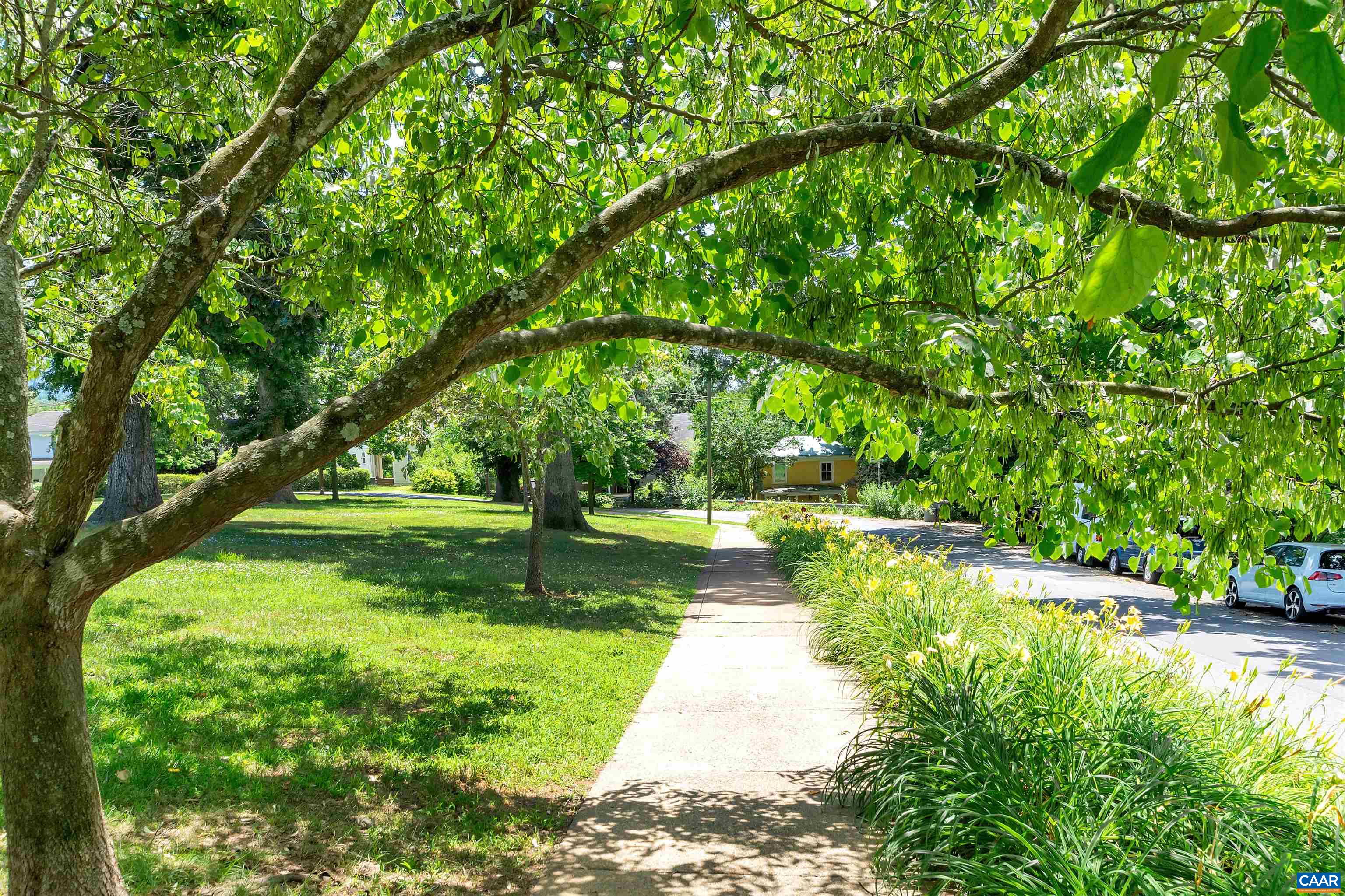 904 ROCKLAND AVE, CHARLOTTESVILLE, Virginia 22902, 3 Bedrooms Bedrooms, ,2 BathroomsBathrooms,Residential,904 ROCKLAND AVE,675483 MLS # 675483 904 ROCKLAND AVE, CHARLOTTESVILLE, Virginia 22902, 3 Bedrooms Bedrooms, ,2 BathroomsBathrooms,Residential,904 ROCKLAND AVE,675483 MLS # 675483