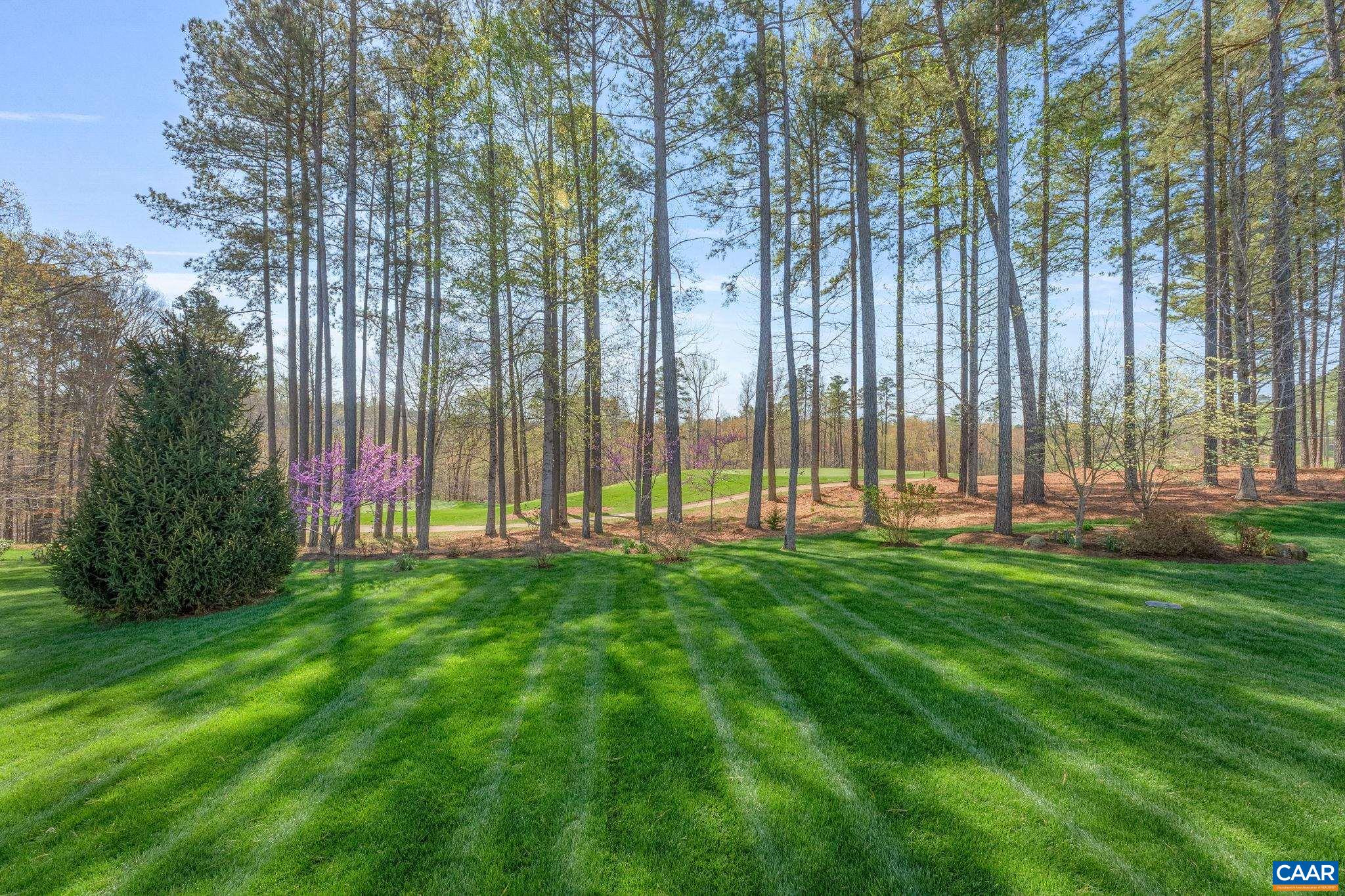 184 FOREST CT, ZION CROSSROADS, Virginia 22942, 3 Bedrooms Bedrooms, ,3 BathroomsBathrooms,Residential,184 FOREST CT,675490 MLS # 675490