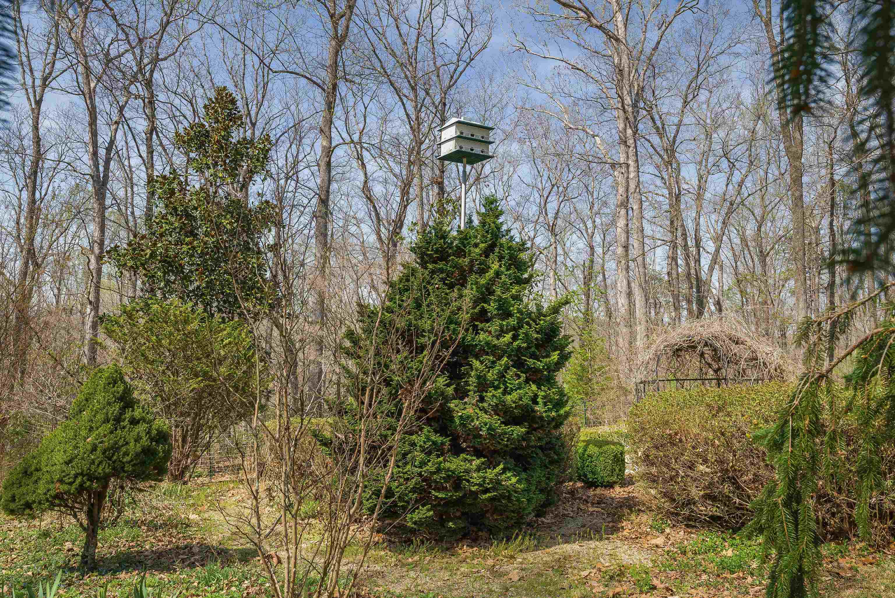 553 HIDDEN VALLEYS RD, PALMYRA, Virginia 22963, 3 Bedrooms Bedrooms, ,2 BathroomsBathrooms,Residential,Home Sweet Home!,553 HIDDEN VALLEYS RD,675493 MLS # 675493