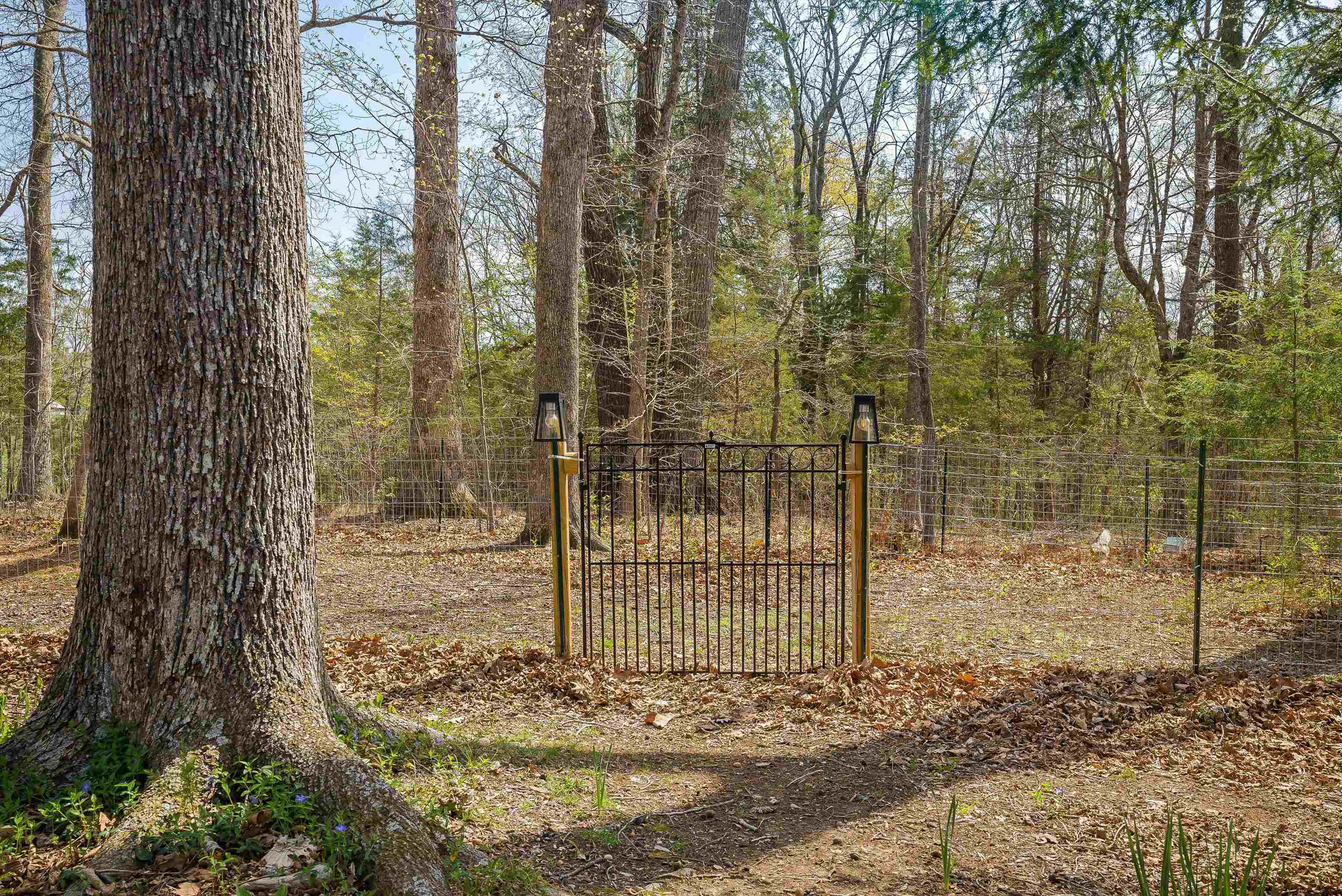 553 HIDDEN VALLEYS RD, PALMYRA, Virginia 22963, 3 Bedrooms Bedrooms, ,2 BathroomsBathrooms,Residential,Home Sweet Home!,553 HIDDEN VALLEYS RD,675493 MLS # 675493