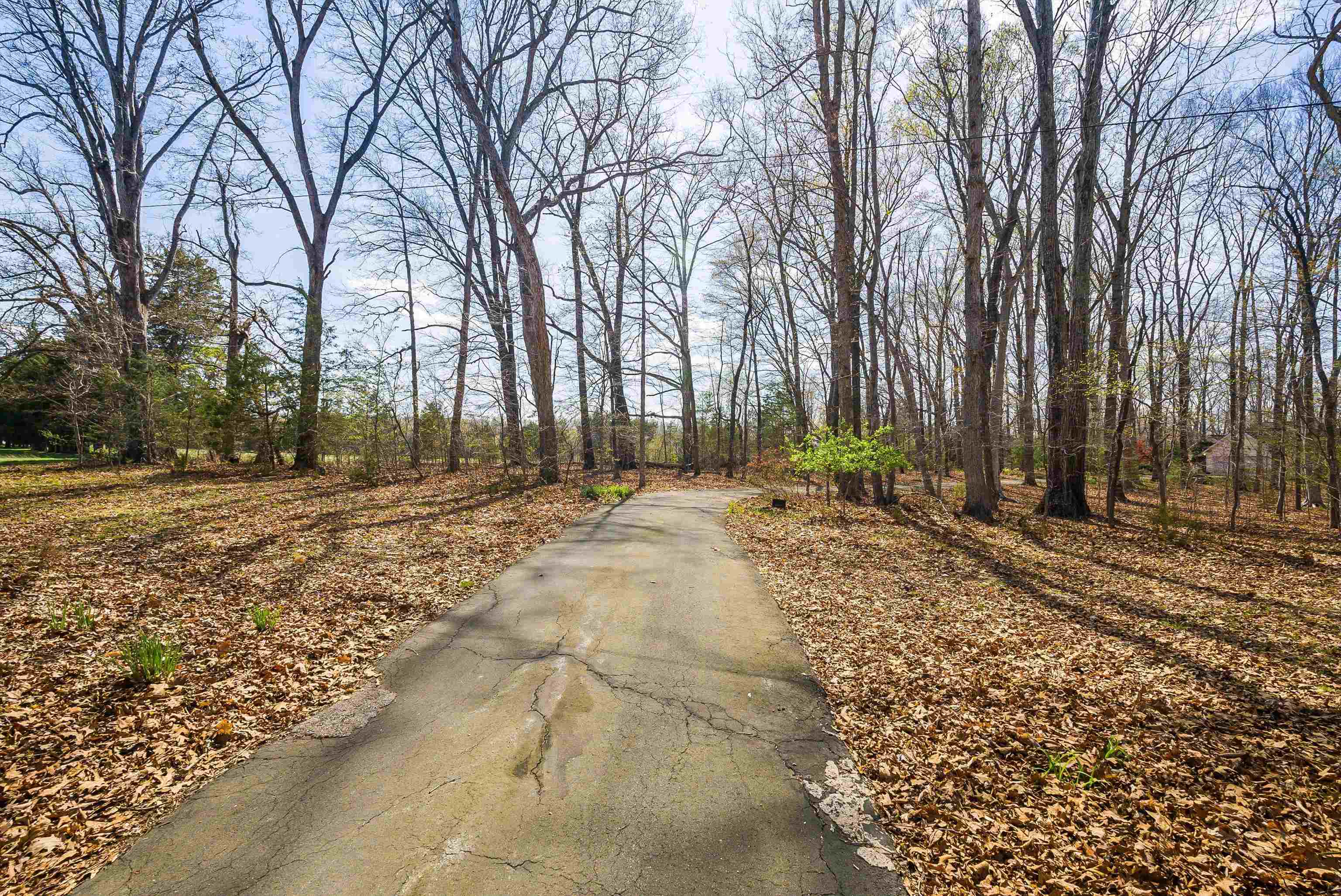 553 HIDDEN VALLEYS RD, PALMYRA, Virginia 22963, 3 Bedrooms Bedrooms, ,2 BathroomsBathrooms,Residential,Home Sweet Home!,553 HIDDEN VALLEYS RD,675493 MLS # 675493