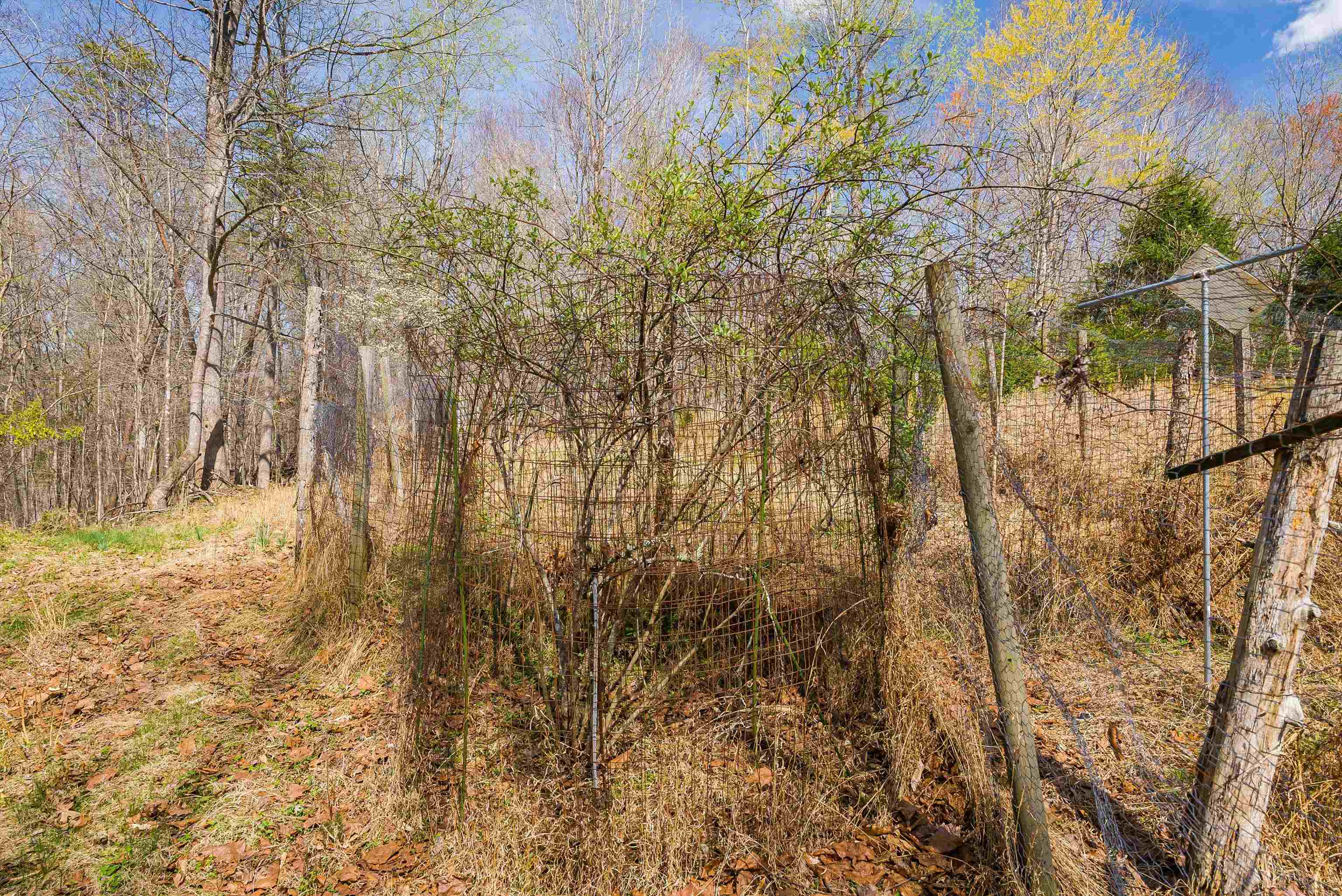 553 HIDDEN VALLEYS RD, PALMYRA, Virginia 22963, 3 Bedrooms Bedrooms, ,2 BathroomsBathrooms,Residential,Home Sweet Home!,553 HIDDEN VALLEYS RD,675493 MLS # 675493