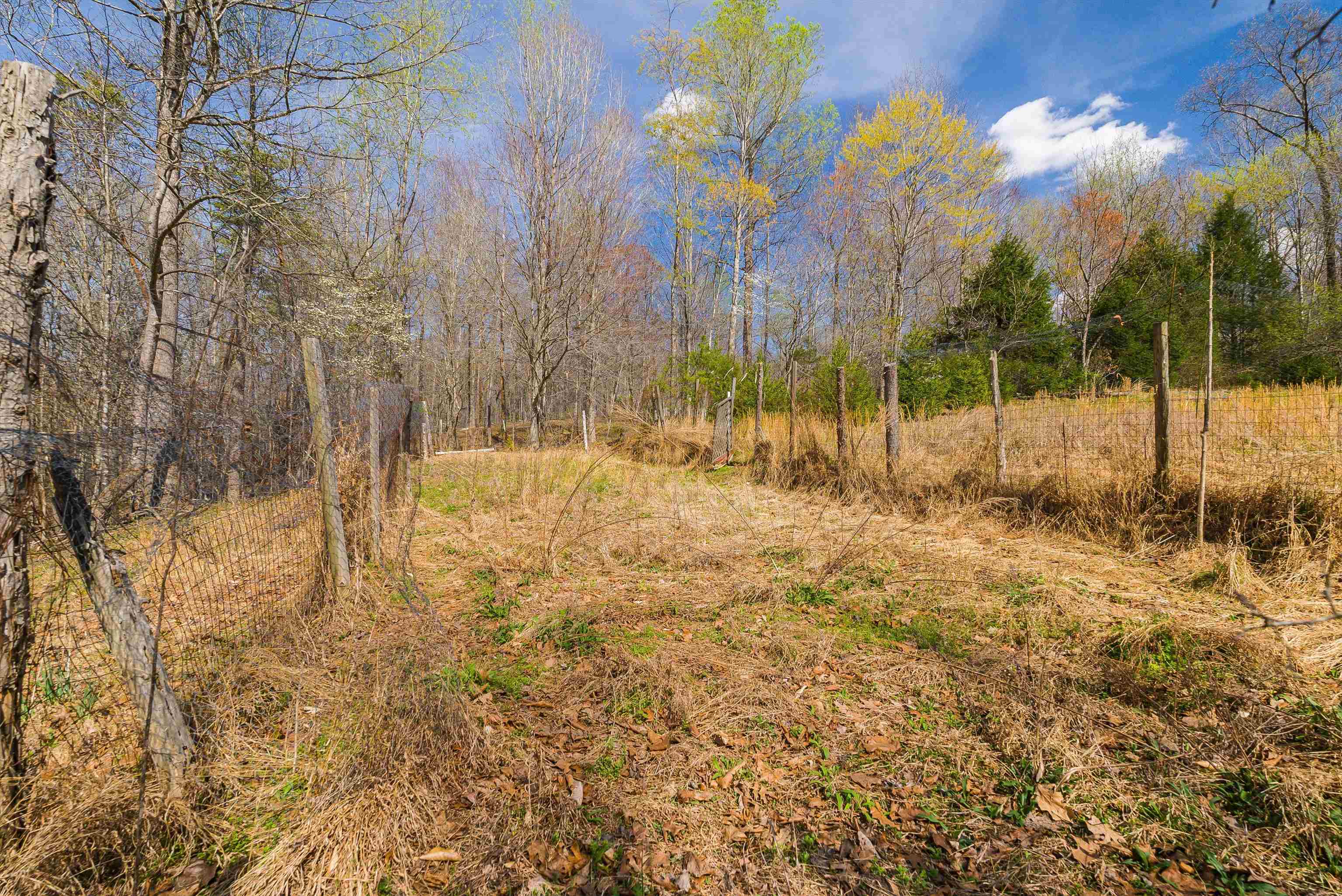 553 HIDDEN VALLEYS RD, PALMYRA, Virginia 22963, 3 Bedrooms Bedrooms, ,2 BathroomsBathrooms,Residential,Home Sweet Home!,553 HIDDEN VALLEYS RD,675493 MLS # 675493