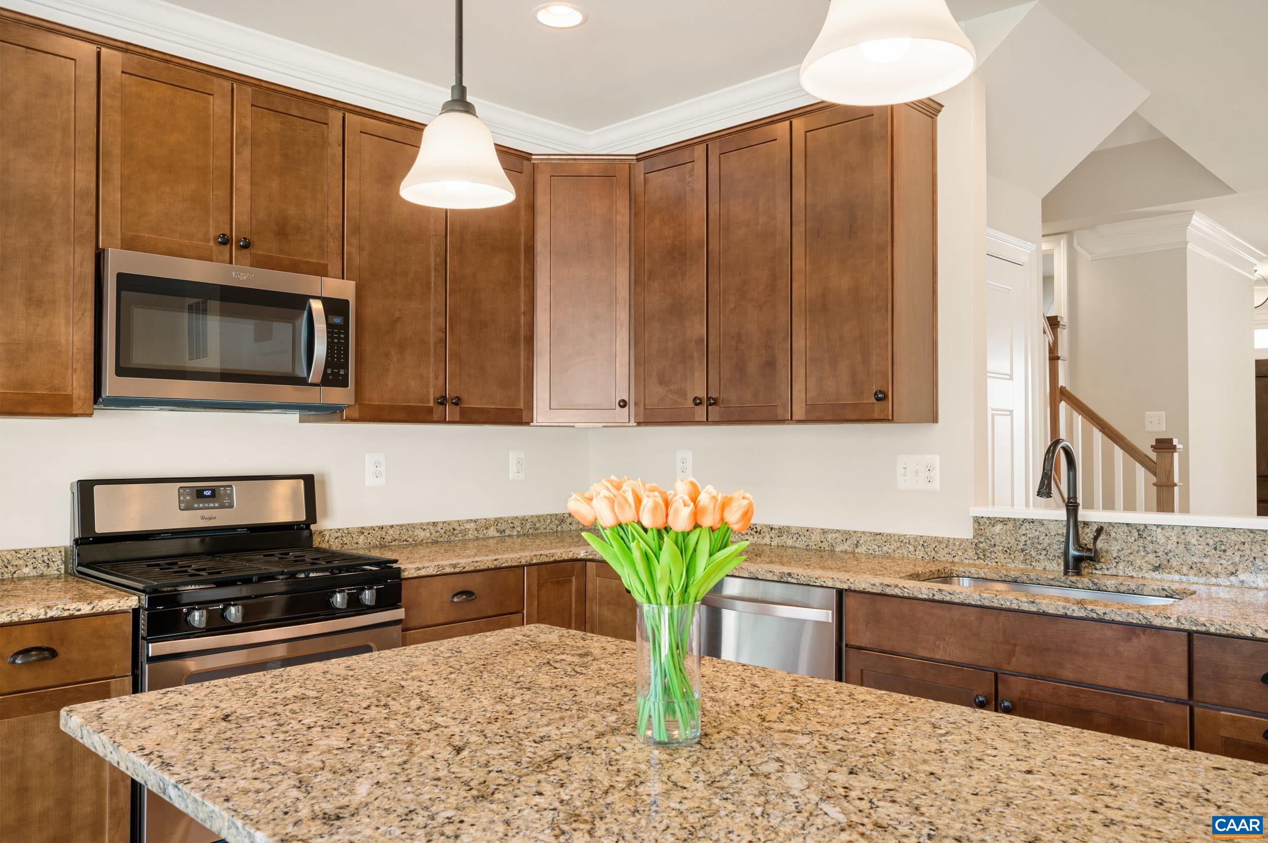 2942 TEMPLEHOF CT, EARLYSVILLE, Virginia 22936, 3 Bedrooms Bedrooms, ,3 BathroomsBathrooms,Residential,CHATNAM,2942 TEMPLEHOF CT,675495 MLS # 675495