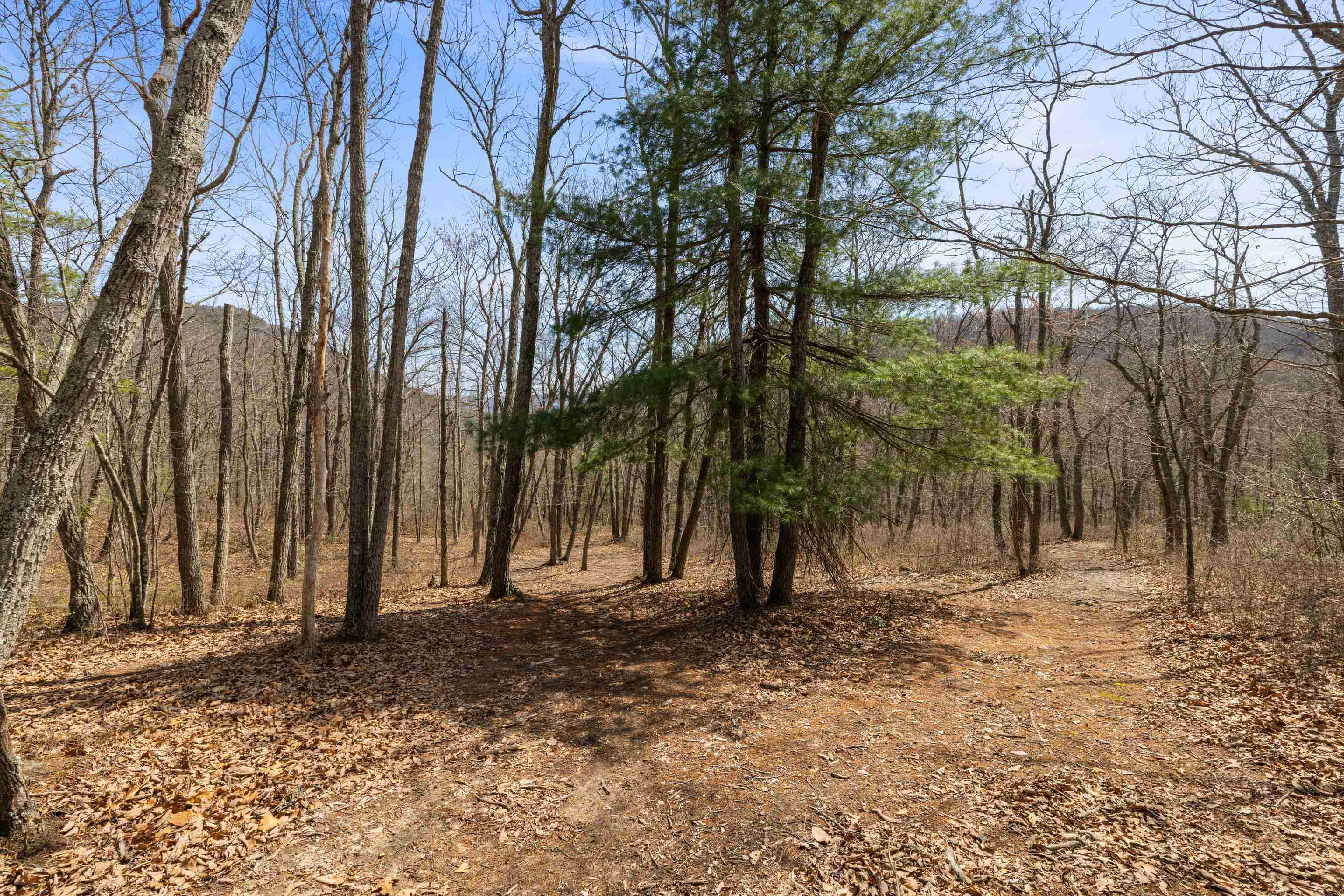 16199 ROCKYMOUNT LN, ELKTON, Virginia 22827, 5 Bedrooms Bedrooms, ,3 BathroomsBathrooms,Residential,16199 ROCKYMOUNT LN,675510 MLS # 675510 16199 ROCKYMOUNT LN, ELKTON, Virginia 22827, 5 Bedrooms Bedrooms, ,3 BathroomsBathrooms,Residential,16199 ROCKYMOUNT LN,675510 MLS # 675510