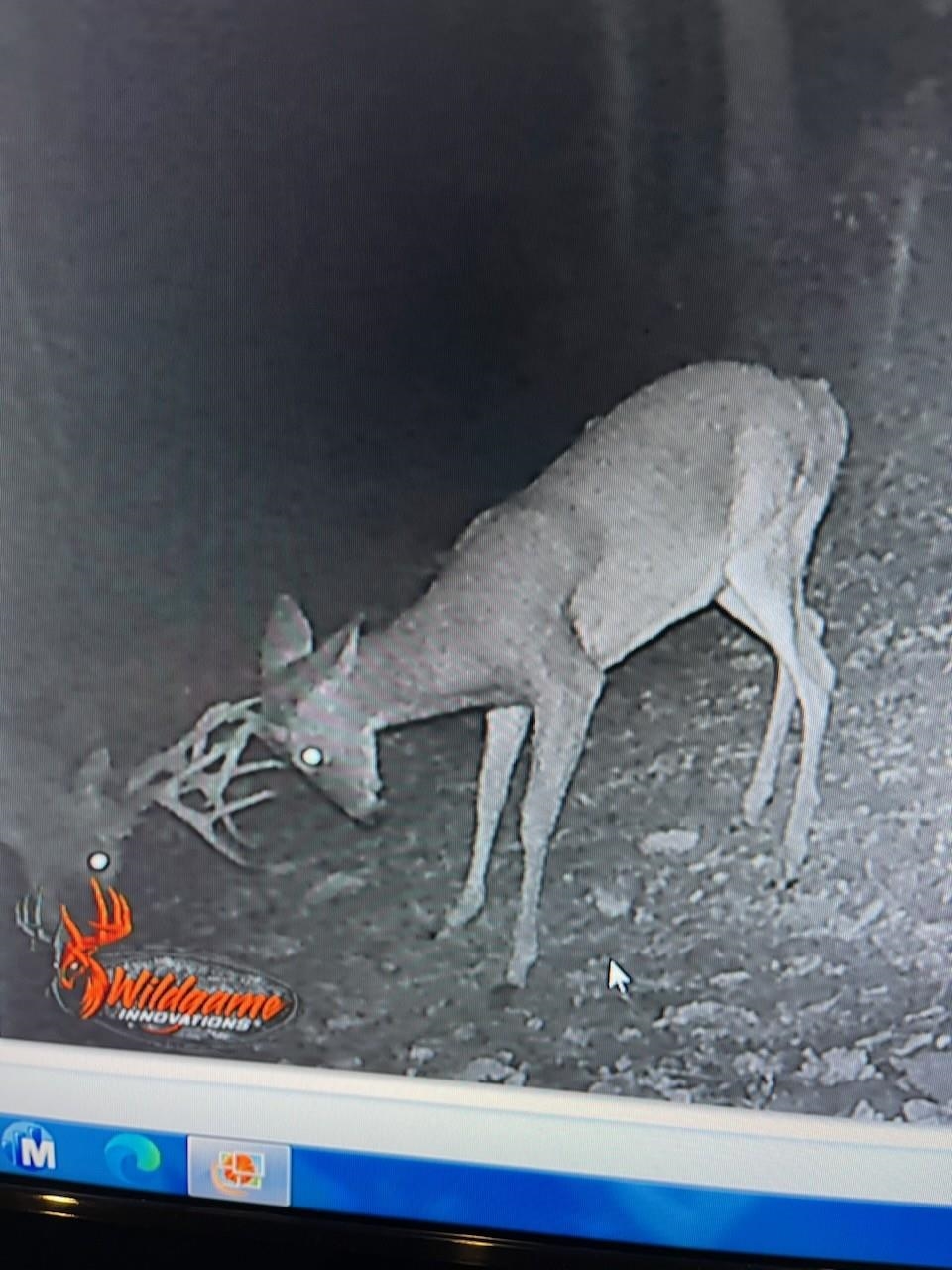 16199 ROCKYMOUNT LN, ELKTON, Virginia 22827, 5 Bedrooms Bedrooms, ,3 BathroomsBathrooms,Residential,16199 ROCKYMOUNT LN,675510 MLS # 675510 16199 ROCKYMOUNT LN, ELKTON, Virginia 22827, 5 Bedrooms Bedrooms, ,3 BathroomsBathrooms,Residential,16199 ROCKYMOUNT LN,675510 MLS # 675510