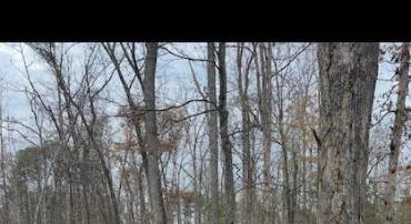 WOODLANDS DRIVE, ORANGE, Virginia 22960, ,Land,WOODLANDS DRIVE,VAOR2013118 MLS # VAOR2013118