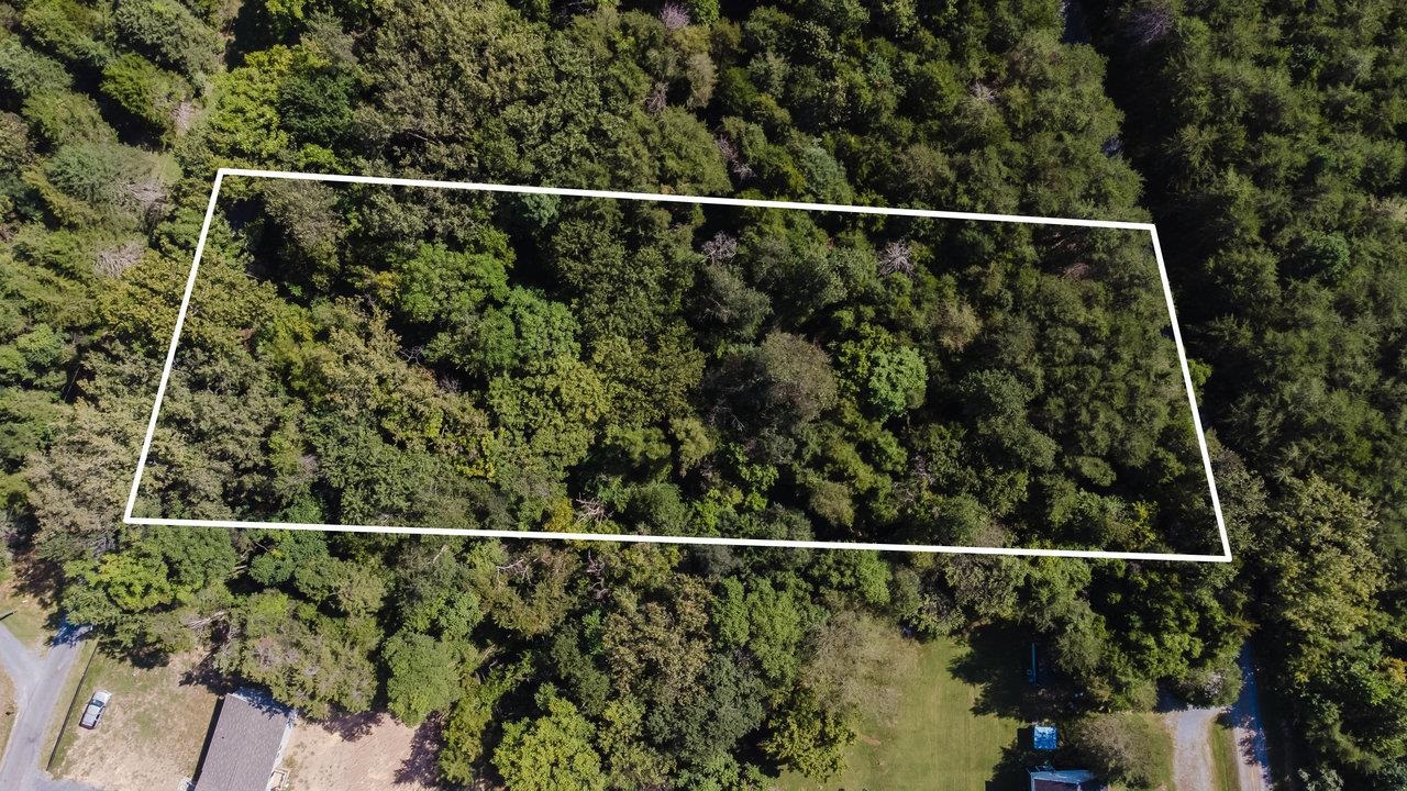 TBD RIVER VIEW RD, LURAY, Virginia 22835, ,Land,TBD RIVER VIEW RD,675522 MLS # 675522