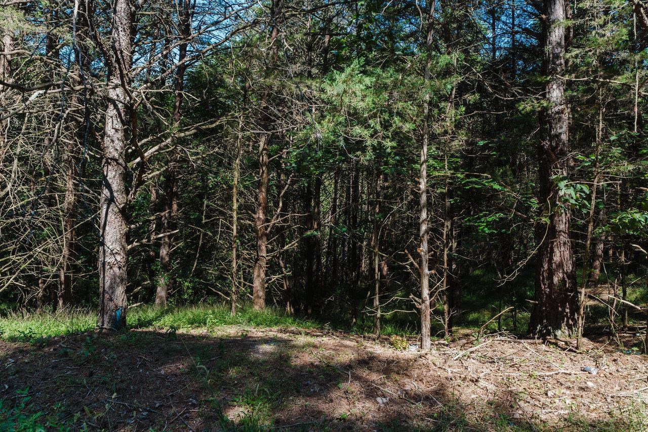 TBD RIVER VIEW RD, LURAY, Virginia 22835, ,Land,TBD RIVER VIEW RD,675522 MLS # 675522