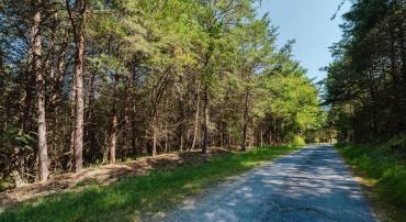 TBD RIVER VIEW RD, LURAY, Virginia 22835, ,Land,TBD RIVER VIEW RD,675522 MLS # 675522