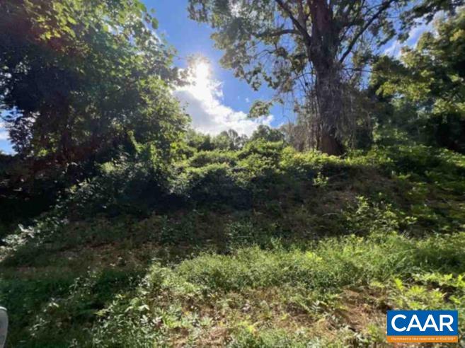 TBD DRY BRIDGE RD, CHARLOTTESVILLE, Virginia 22903, ,Land,TBD DRY BRIDGE RD,675541 MLS # 675541