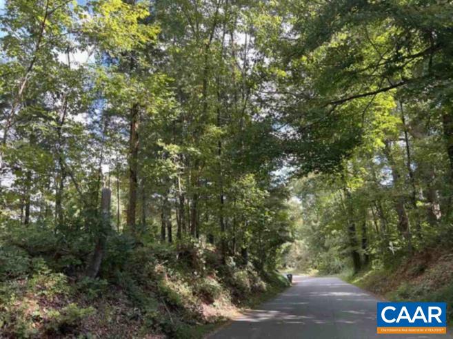 TBD DRY BRIDGE RD, CHARLOTTESVILLE, Virginia 22903, ,Land,TBD DRY BRIDGE RD,675541 MLS # 675541