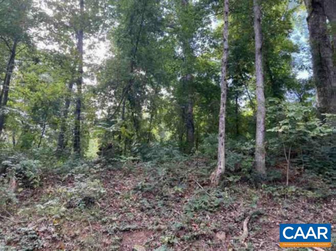 TBD DRY BRIDGE RD, CHARLOTTESVILLE, Virginia 22903, ,Land,TBD DRY BRIDGE RD,675541 MLS # 675541