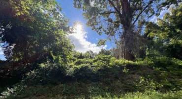 TBD DRY BRIDGE RD, CHARLOTTESVILLE, Virginia 22903, ,Land,TBD DRY BRIDGE RD,675541 MLS # 675541