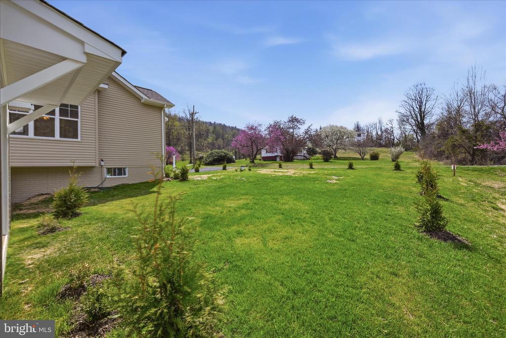 11 SCENIC LN, FLINT HILL, Virginia, 2 Bedrooms Bedrooms, ,2 BathroomsBathrooms,Residential,11 SCENIC LN,VARP2002568 MLS # VARP2002568 11 SCENIC LN, FLINT HILL, Virginia, 2 Bedrooms Bedrooms, ,2 BathroomsBathrooms,Residential,11 SCENIC LN,VARP2002568 MLS # VARP2002568