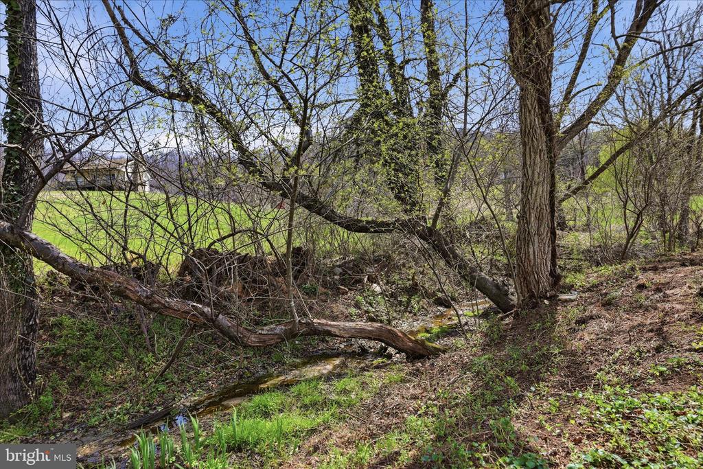 11 SCENIC LN, FLINT HILL, Virginia, 2 Bedrooms Bedrooms, ,2 BathroomsBathrooms,Residential,11 SCENIC LN,VARP2002568 MLS # VARP2002568 11 SCENIC LN, FLINT HILL, Virginia, 2 Bedrooms Bedrooms, ,2 BathroomsBathrooms,Residential,11 SCENIC LN,VARP2002568 MLS # VARP2002568