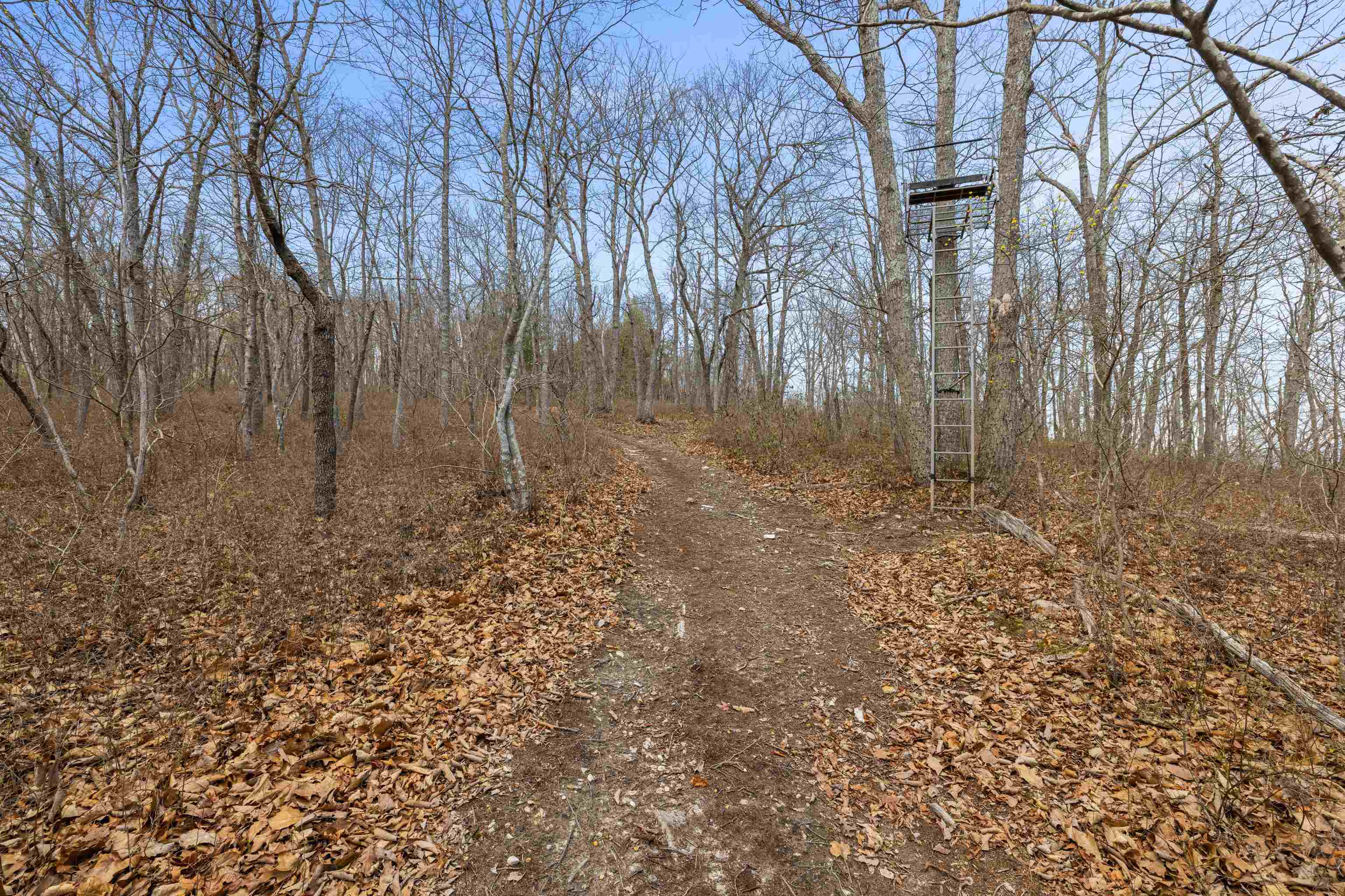 Lot 45 ROCKYMOUNT LN, ELKTON, Virginia 22827, 5 Bedrooms Bedrooms, ,3 BathroomsBathrooms,Residential,Lot 45 ROCKYMOUNT LN,675518 MLS # 675518