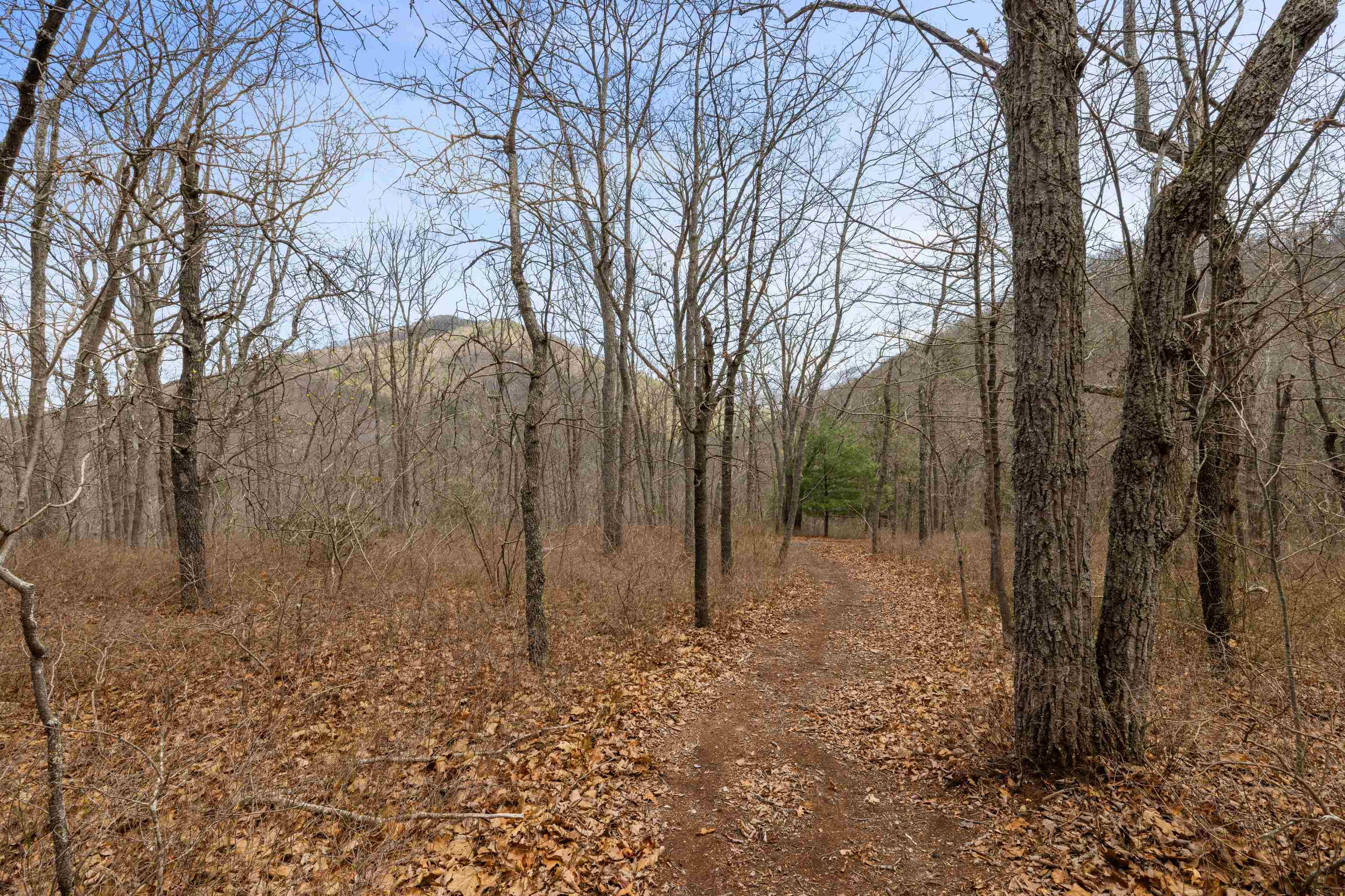 Lot 45 ROCKYMOUNT LN, ELKTON, Virginia 22827, 5 Bedrooms Bedrooms, ,3 BathroomsBathrooms,Residential,Lot 45 ROCKYMOUNT LN,675518 MLS # 675518