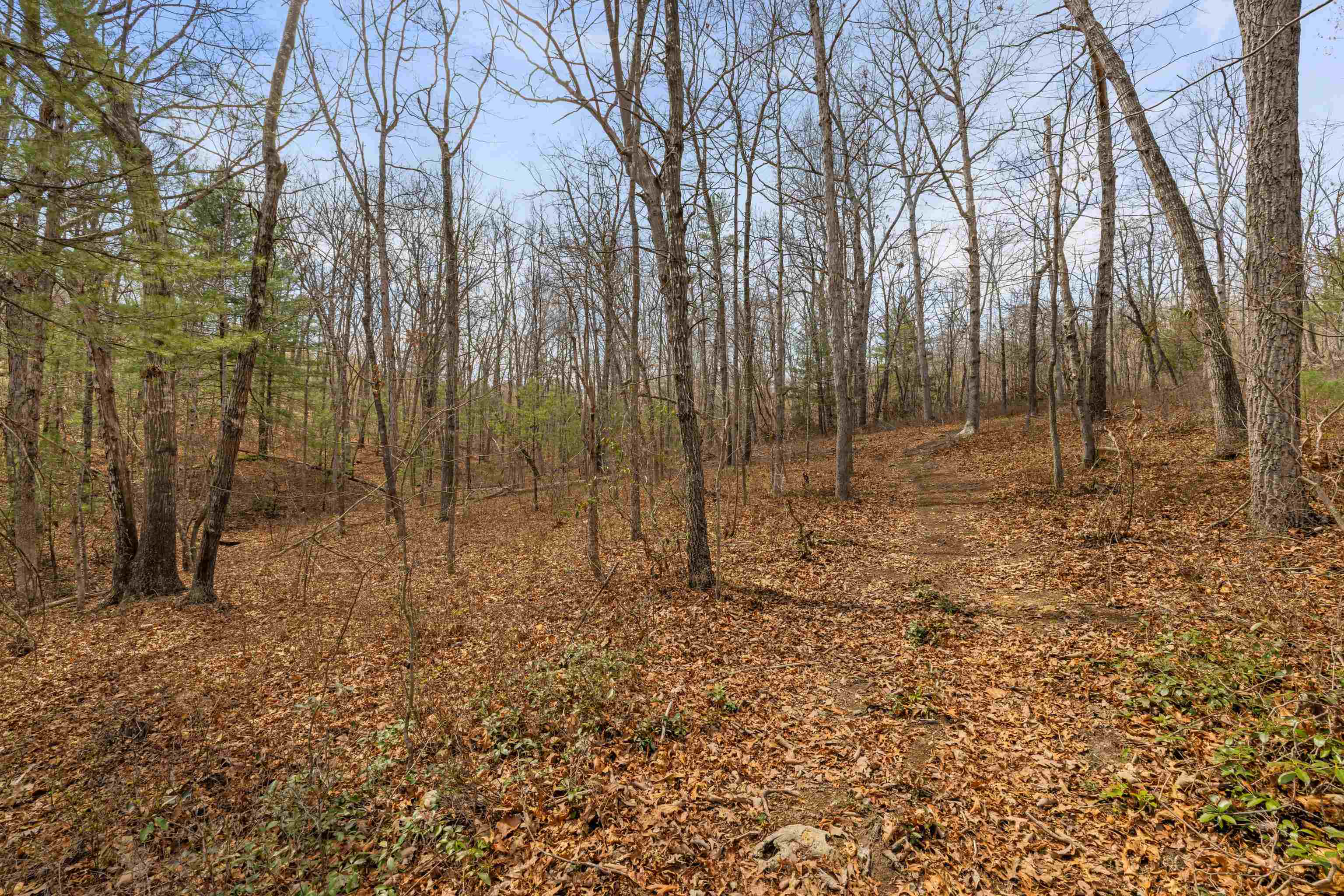 Lot 45 ROCKYMOUNT LN, ELKTON, Virginia 22827, 5 Bedrooms Bedrooms, ,3 BathroomsBathrooms,Residential,Lot 45 ROCKYMOUNT LN,675518 MLS # 675518