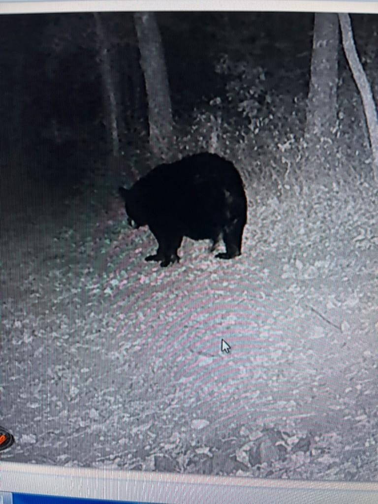 Lot 45 ROCKYMOUNT LN, ELKTON, Virginia 22827, 5 Bedrooms Bedrooms, ,3 BathroomsBathrooms,Residential,Lot 45 ROCKYMOUNT LN,675518 MLS # 675518