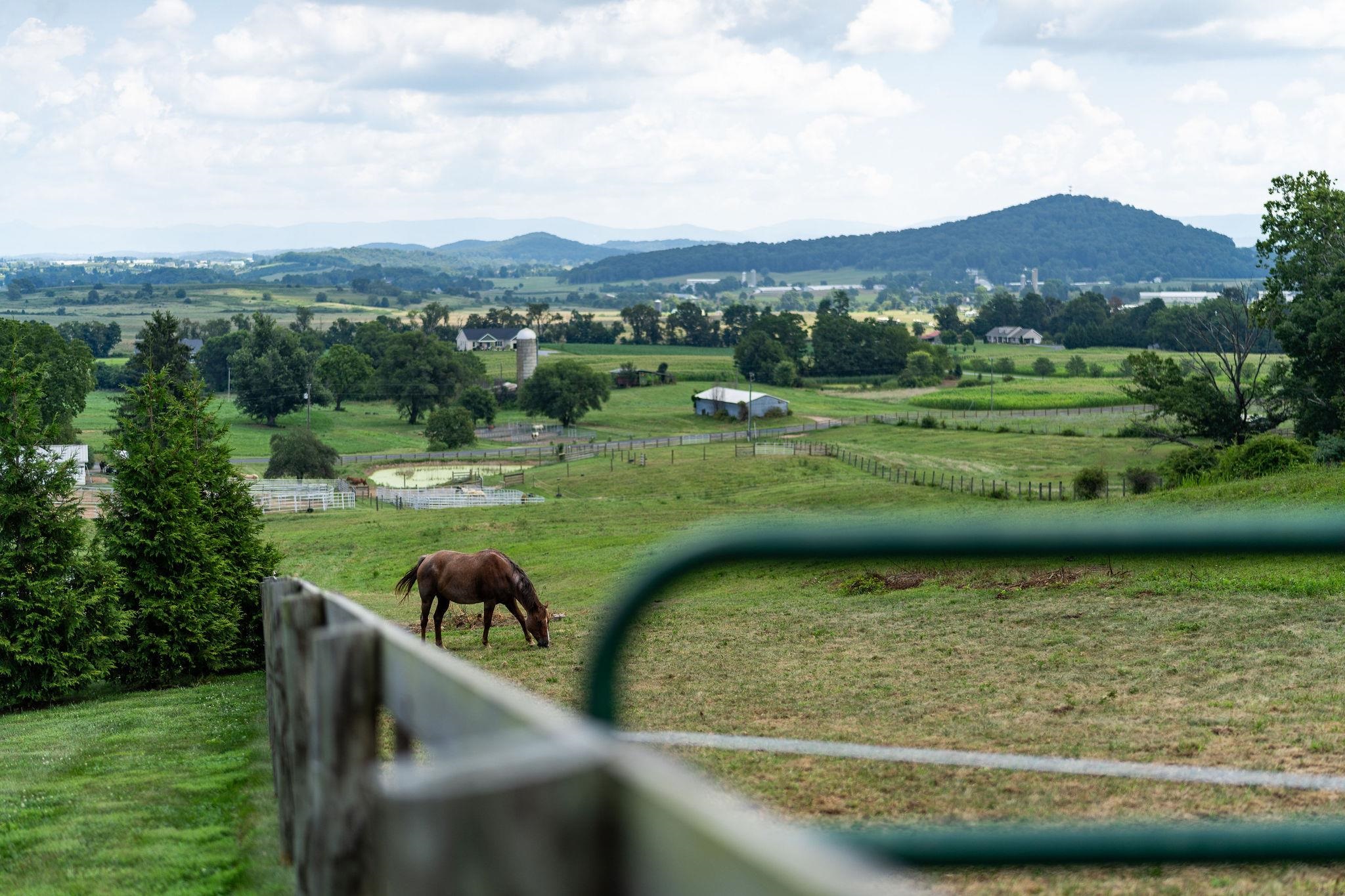 635 CHURCHMANS MILL RD, STUARTS DRAFT, Virginia 24477, 4 Bedrooms Bedrooms, ,3 BathroomsBathrooms,Residential,635 CHURCHMANS MILL RD,675523 MLS # 675523