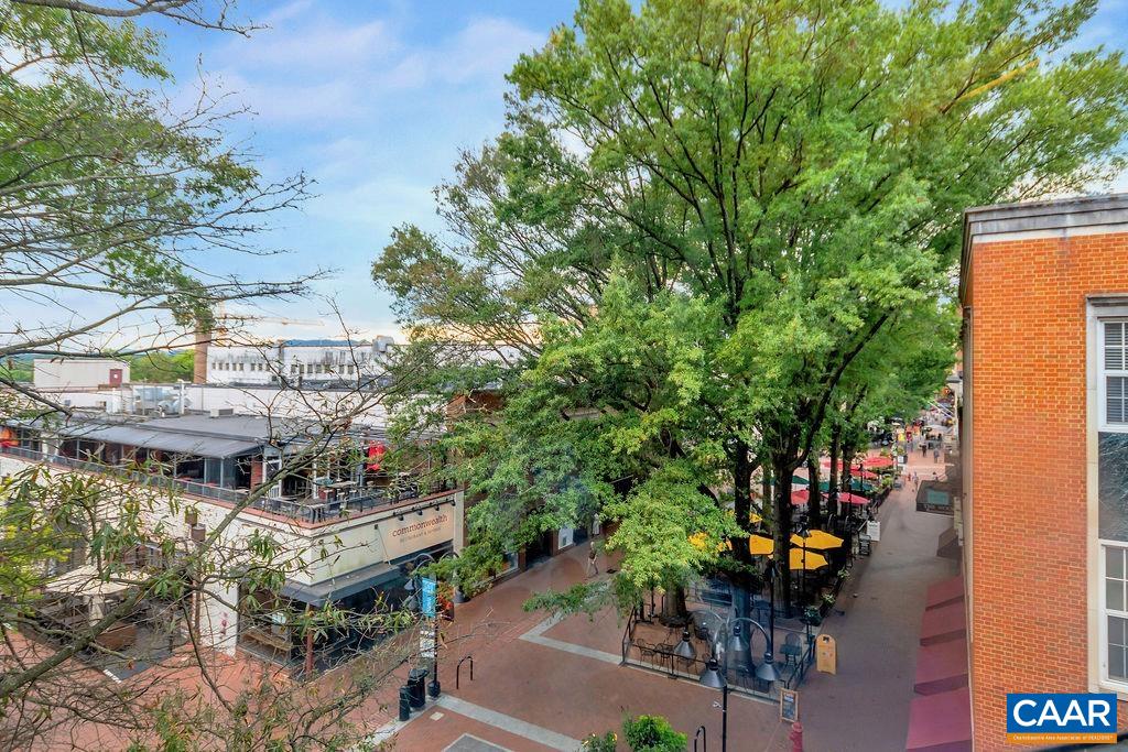 316 CARLTON RD, CHARLOTTESVILLE, Virginia 22902, 4 Bedrooms Bedrooms, ,2 BathroomsBathrooms,Residential,316 CARLTON RD,675540 MLS # 675540