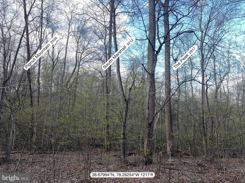 PADUA, SPERRYVILLE, Virginia 22740, ,Land,PADUA,VARP2002586 MLS # VARP2002586