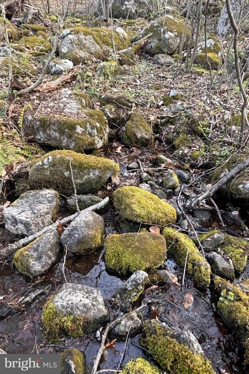 PADUA, SPERRYVILLE, Virginia 22740, ,Land,PADUA,VARP2002586 MLS # VARP2002586