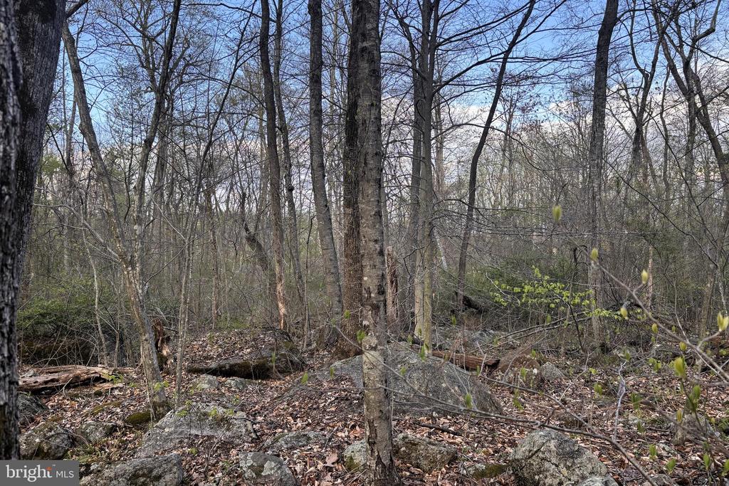 PADUA, SPERRYVILLE, Virginia 22740, ,Land,PADUA,VARP2002586 MLS # VARP2002586