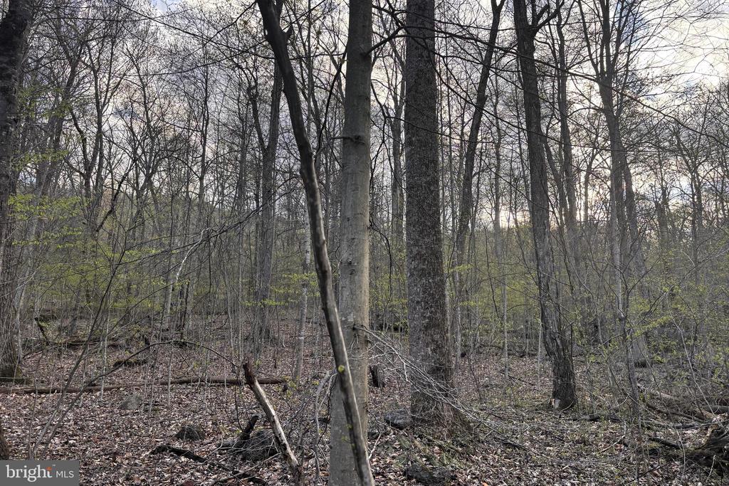 PADUA, SPERRYVILLE, Virginia 22740, ,Land,PADUA,VARP2002586 MLS # VARP2002586