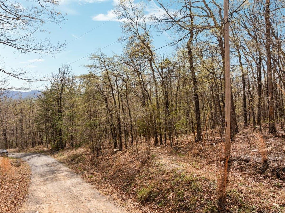 Lot 21 MOCKINGBIRD LN, LURAY, Virginia 22835, ,Land,Lot 21 MOCKINGBIRD LN,675554 MLS # 675554