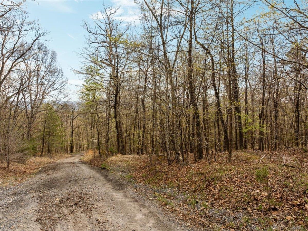 Lot 21 MOCKINGBIRD LN, LURAY, Virginia 22835, ,Land,Lot 21 MOCKINGBIRD LN,675554 MLS # 675554