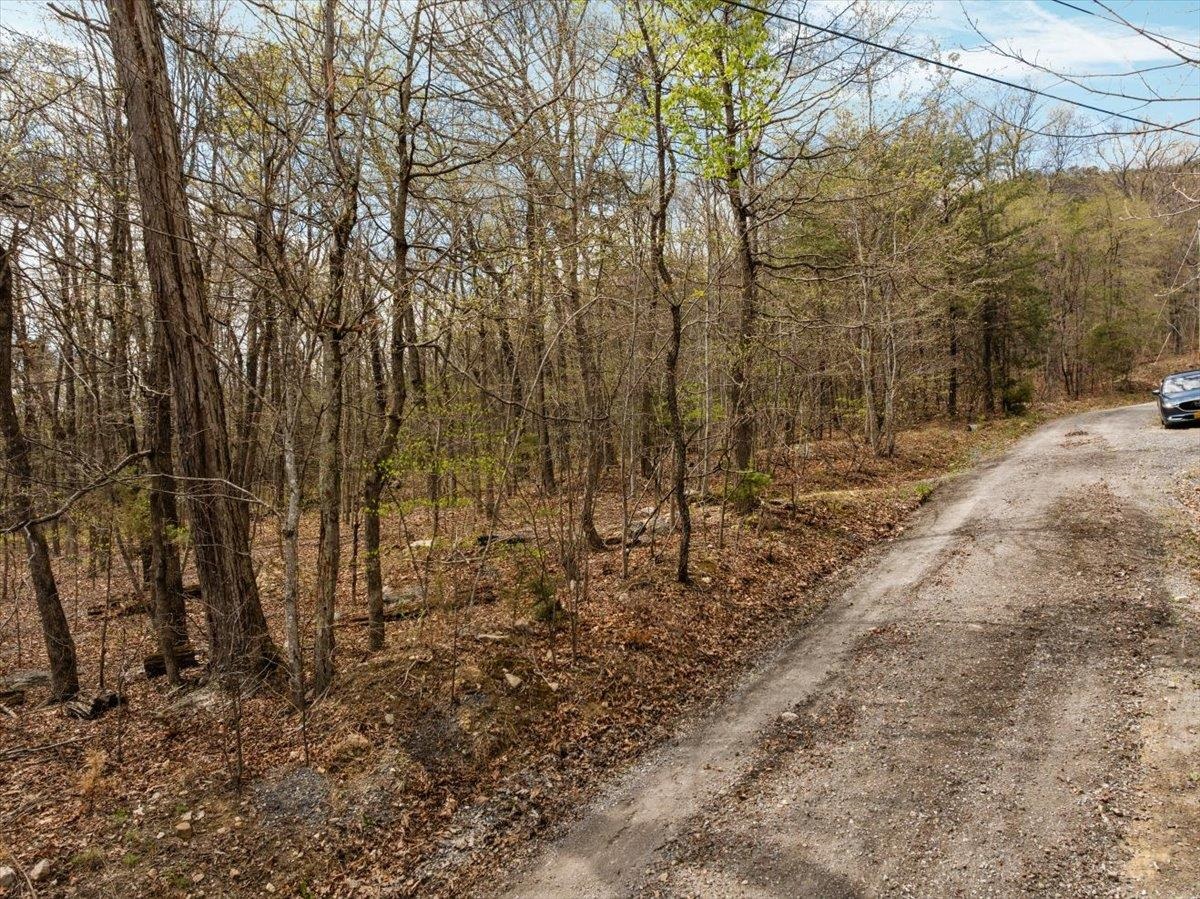 Lot 21 MOCKINGBIRD LN, LURAY, Virginia 22835, ,Land,Lot 21 MOCKINGBIRD LN,675554 MLS # 675554