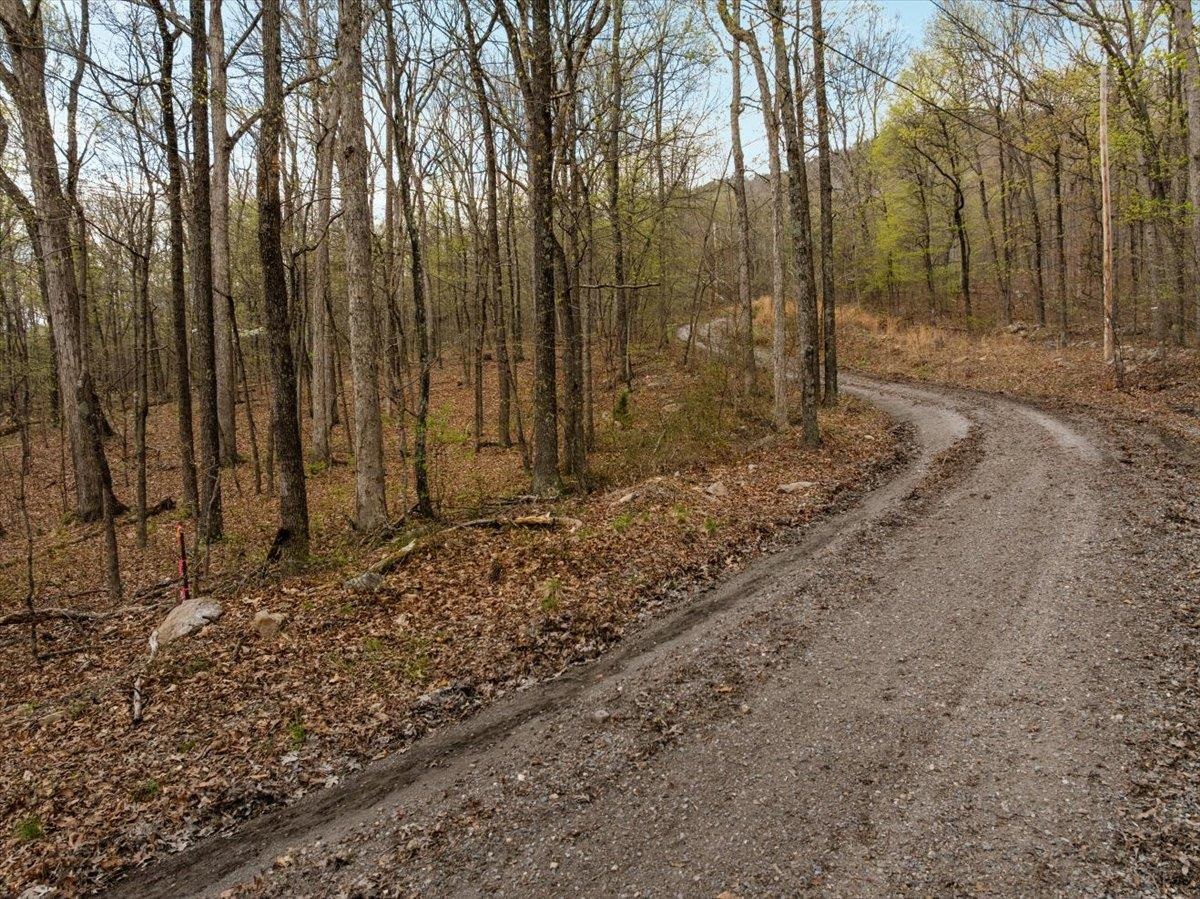 Lot 21 MOCKINGBIRD LN, LURAY, Virginia 22835, ,Land,Lot 21 MOCKINGBIRD LN,675554 MLS # 675554