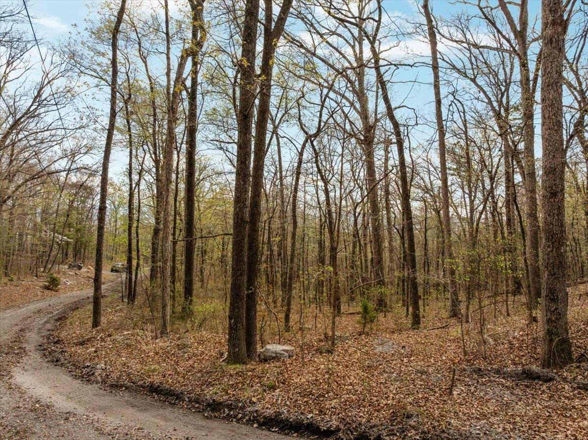 Lot 21 MOCKINGBIRD LN, LURAY, Virginia 22835, ,Land,Lot 21 MOCKINGBIRD LN,675554 MLS # 675554