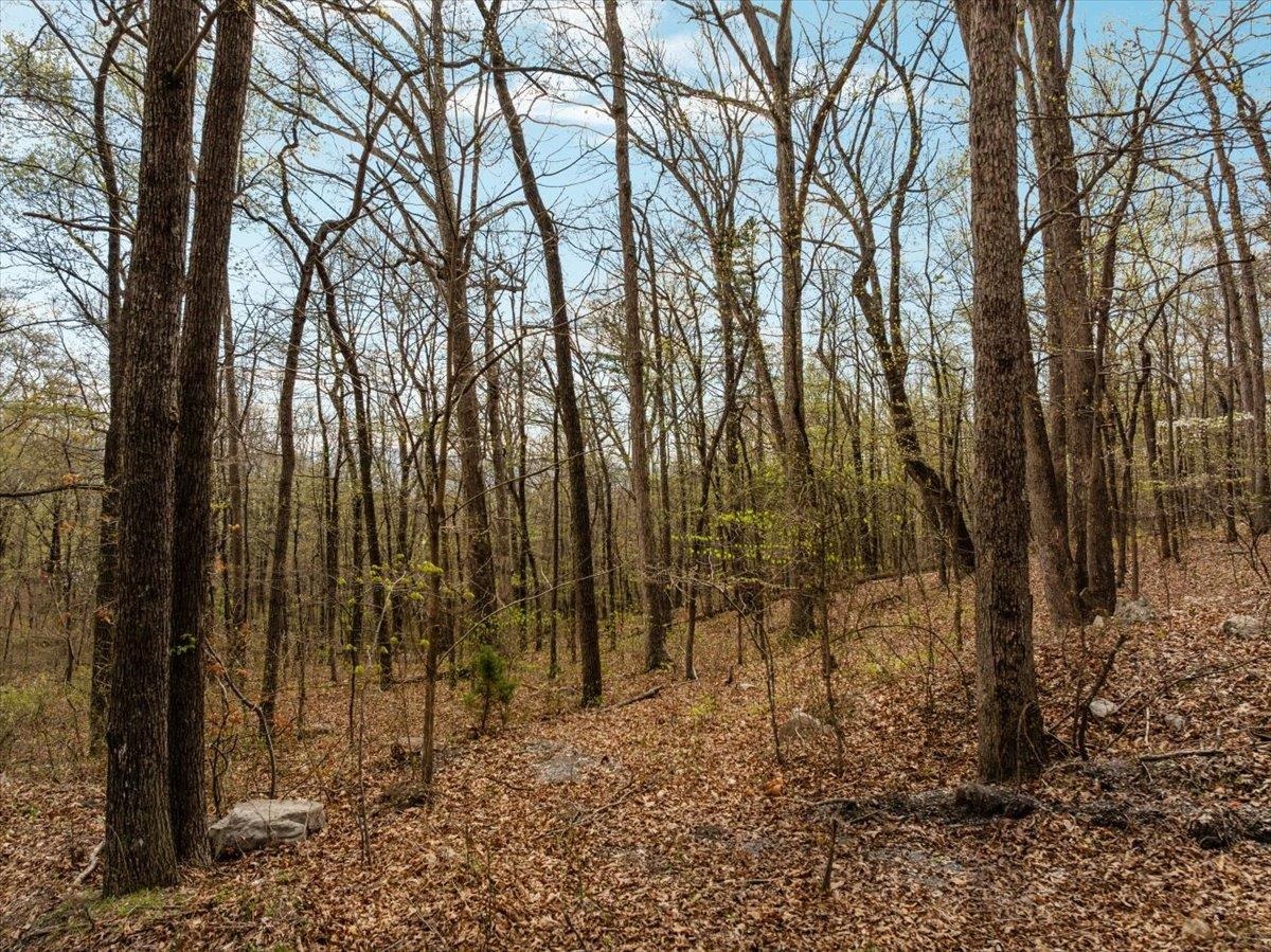 Lot 21 MOCKINGBIRD LN, LURAY, Virginia 22835, ,Land,Lot 21 MOCKINGBIRD LN,675554 MLS # 675554