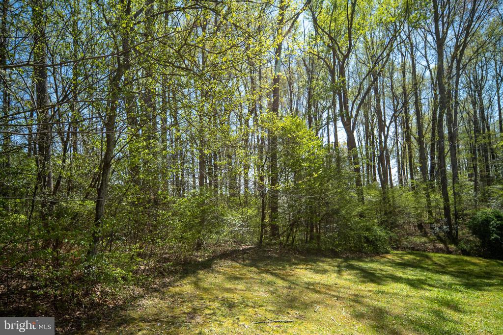 6628 PARTLOW RD, SPOTSYLVANIA, Virginia 22551, 3 Bedrooms Bedrooms, ,2 BathroomsBathrooms,Residential,6628 PARTLOW RD,VASP2039636 MLS # VASP2039636 6628 PARTLOW RD, SPOTSYLVANIA, Virginia 22551, 3 Bedrooms Bedrooms, ,2 BathroomsBathrooms,Residential,6628 PARTLOW RD,VASP2039636 MLS # VASP2039636