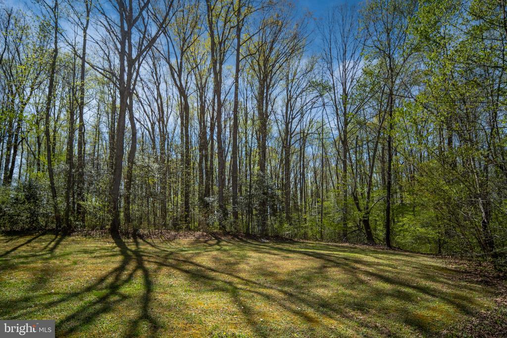 6628 PARTLOW RD, SPOTSYLVANIA, Virginia 22551, 3 Bedrooms Bedrooms, ,2 BathroomsBathrooms,Residential,6628 PARTLOW RD,VASP2039636 MLS # VASP2039636 6628 PARTLOW RD, SPOTSYLVANIA, Virginia 22551, 3 Bedrooms Bedrooms, ,2 BathroomsBathrooms,Residential,6628 PARTLOW RD,VASP2039636 MLS # VASP2039636