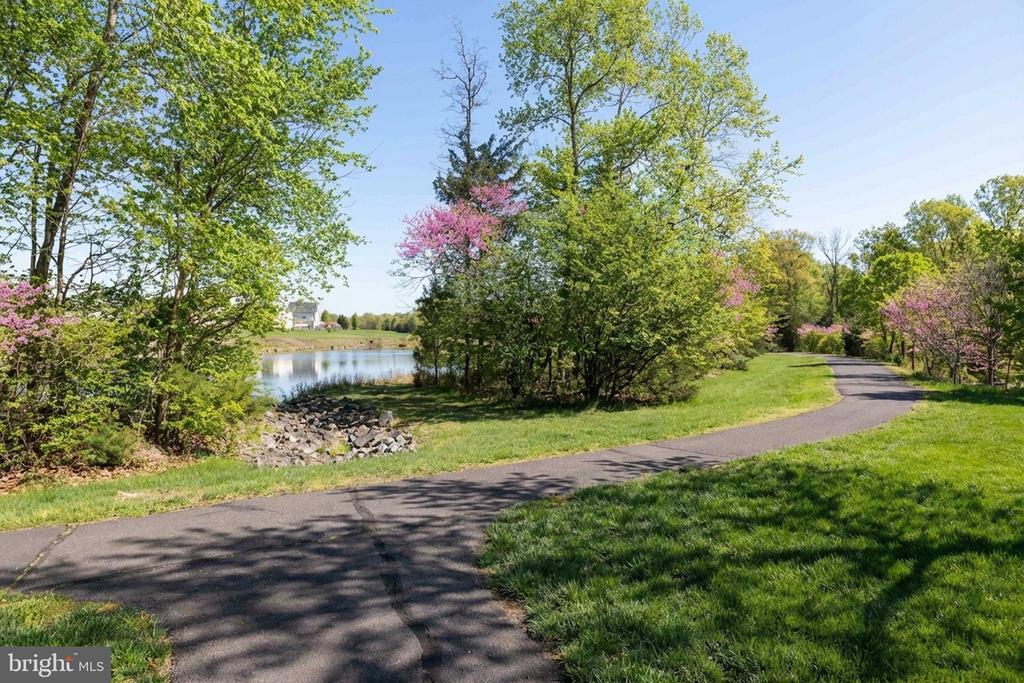 7153 COMRIE CT, WARRENTON, Virginia, 5 Bedrooms Bedrooms, ,4 BathroomsBathrooms,Residential,7153 COMRIE CT,VAFQ2021284 MLS # VAFQ2021284 7153 COMRIE CT, WARRENTON, Virginia, 5 Bedrooms Bedrooms, ,4 BathroomsBathrooms,Residential,7153 COMRIE CT,VAFQ2021284 MLS # VAFQ2021284