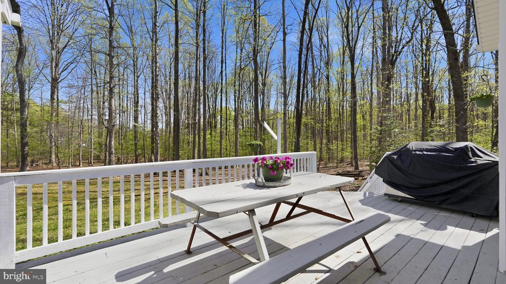 3917 HATTERAS CT, BUMPASS, Virginia 23024, 3 Bedrooms Bedrooms, ,2 BathroomsBathrooms,Residential,3917 HATTERAS CT,VASP2040606 MLS # VASP2040606 3917 HATTERAS CT, BUMPASS, Virginia 23024, 3 Bedrooms Bedrooms, ,2 BathroomsBathrooms,Residential,3917 HATTERAS CT,VASP2040606 MLS # VASP2040606