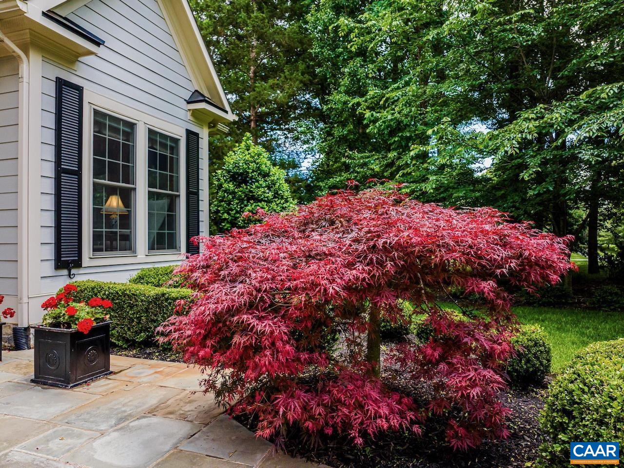 2084 PIPER WAY, KESWICK, Virginia 22947, 5 Bedrooms Bedrooms, ,4 BathroomsBathrooms,Residential,2084 PIPER WAY,675067 MLS # 675067 2084 PIPER WAY, KESWICK, Virginia 22947, 5 Bedrooms Bedrooms, ,4 BathroomsBathrooms,Residential,2084 PIPER WAY,675067 MLS # 675067