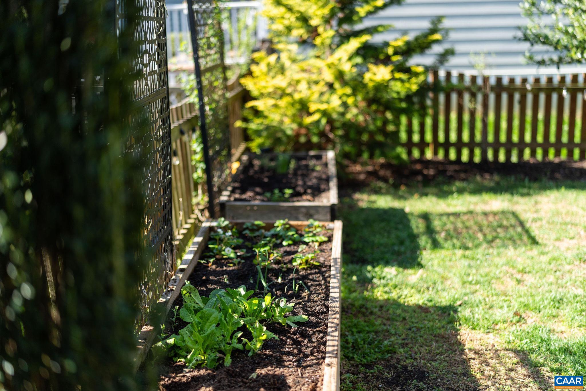 310 HARRIS RD, CHARLOTTESVILLE, Virginia 22903, 3 Bedrooms Bedrooms, ,2 BathroomsBathrooms,Residential,310 HARRIS RD,675321 MLS # 675321 310 HARRIS RD, CHARLOTTESVILLE, Virginia 22903, 3 Bedrooms Bedrooms, ,2 BathroomsBathrooms,Residential,310 HARRIS RD,675321 MLS # 675321