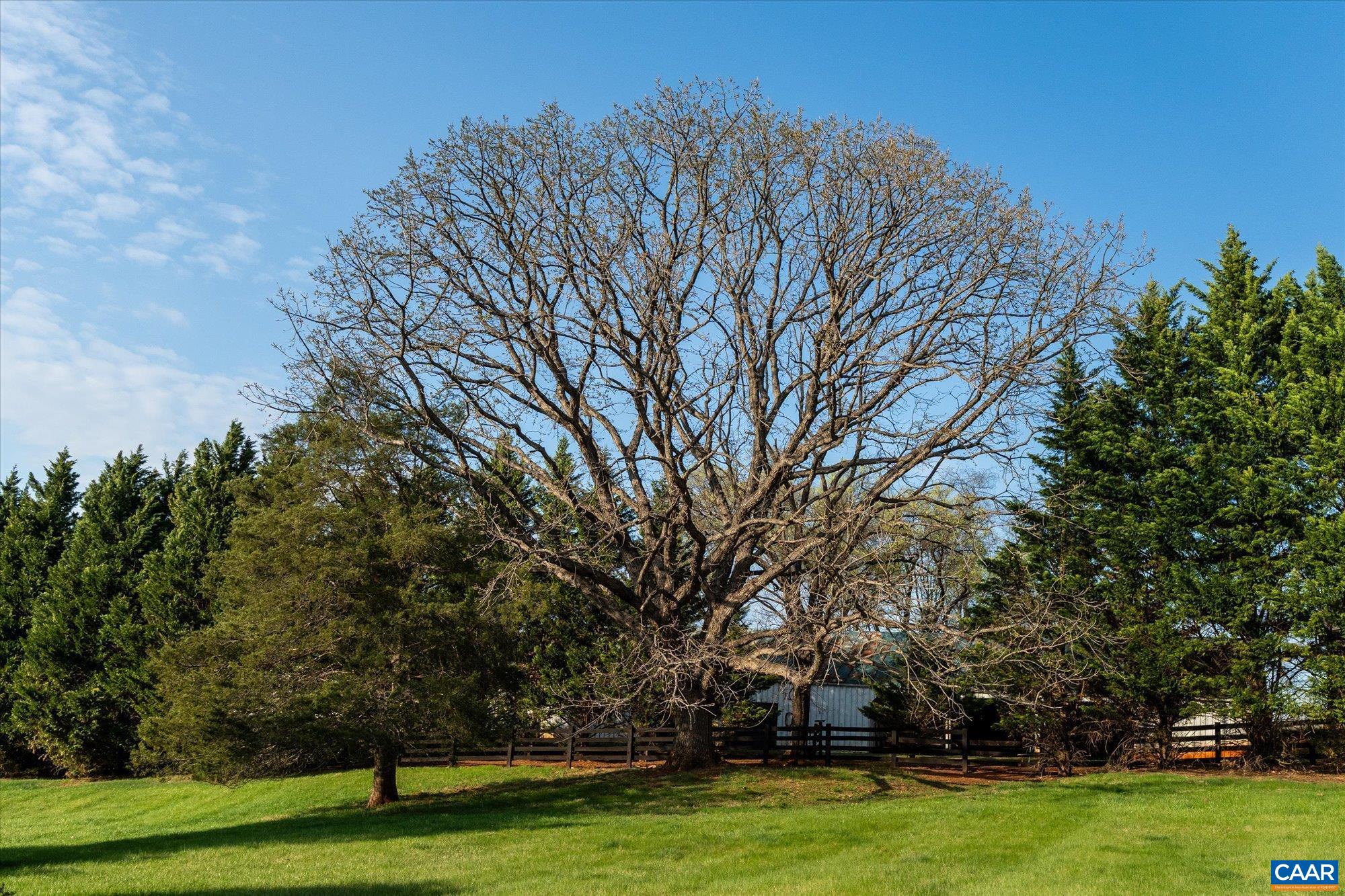 3150 ROCKS FARM CT, CHARLOTTESVILLE, Virginia 22903, 5 Bedrooms Bedrooms, ,5 BathroomsBathrooms,Residential,3150 ROCKS FARM CT,675416 MLS # 675416