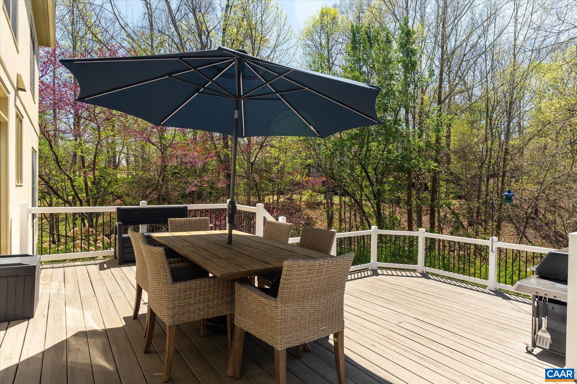 3255 AVEBURY LN, KESWICK, Virginia 22947, 5 Bedrooms Bedrooms, ,3 BathroomsBathrooms,Residential,3255 AVEBURY LN,675547 MLS # 675547